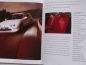 Preview: Honda The Range UK Englisch Prospekt Februar 1999 NEU