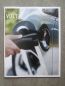 Preview: Chevrolet Volt 2012 US Prospekt Englisch Catalogue