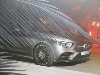 Mercedes Benz Risk an Affair