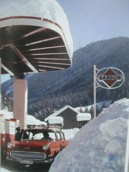 Delius Klasing Ulrich Biene Gasolin