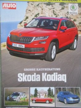 Auto Zeitung Skoda Kodiaq Grosse Kaufberatung