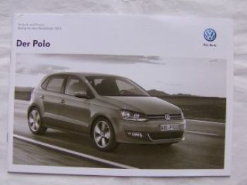VW Polo 6R 12.Januar 2012
