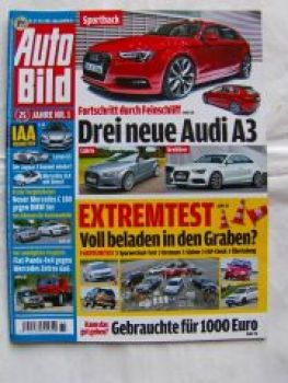 Auto Bild 33/2011 Fiat Panda 4x4 vs. Mercedes Zetros 6x6