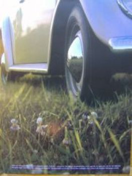 VW Beilage Aus Liebe zum Automobil Riesenformat +Käfer