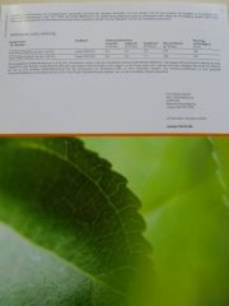 Ford Flexifuel Prospekt August 2007 NEU