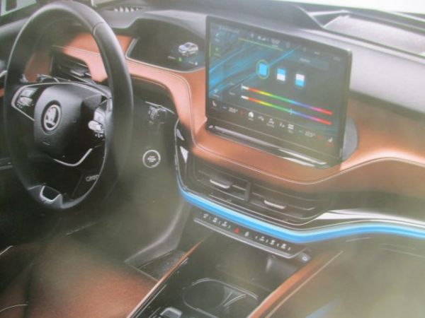 Skoda Enyaq iV +Coupé Januar 2023