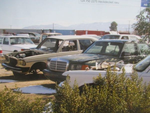 vdh Benzheimer Flosskeln 83