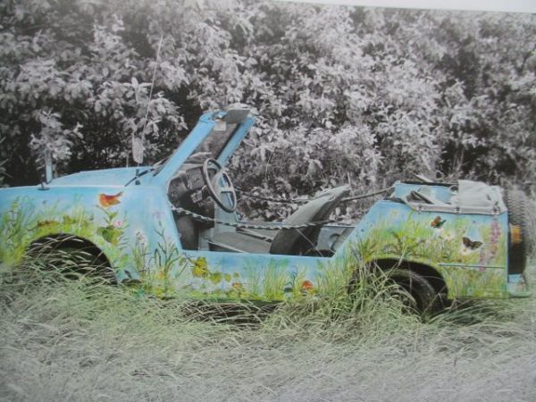 Wartburg Verlag Wolfgang Wandelt Rumore Tecnico vom Sachsenring zum Kronjuwel
