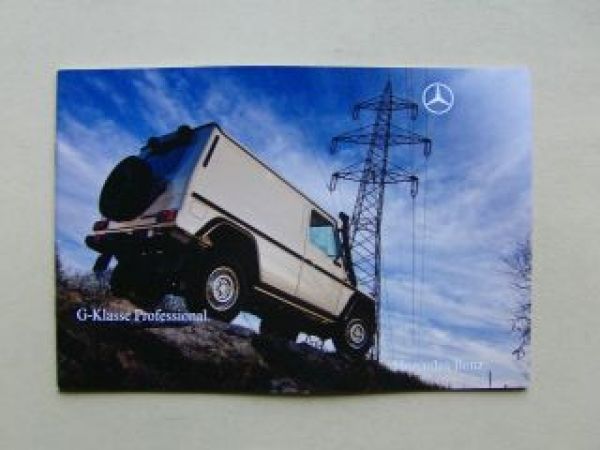 Mercedes Benz G-Klasse Professional BR461 Juli 2010 +Preise