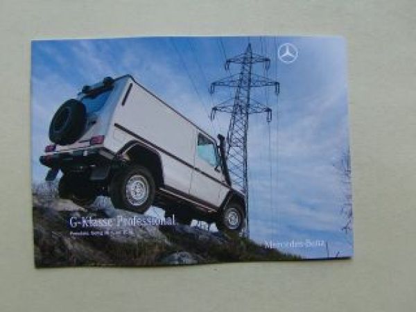 Mercedes Benz G-Klasse Professional BR461 Juli 2010 +Preise