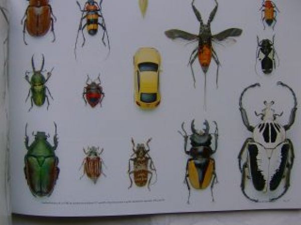 VW The 21st Century Beetle Buch +Zubehör Februar 2012 NEU