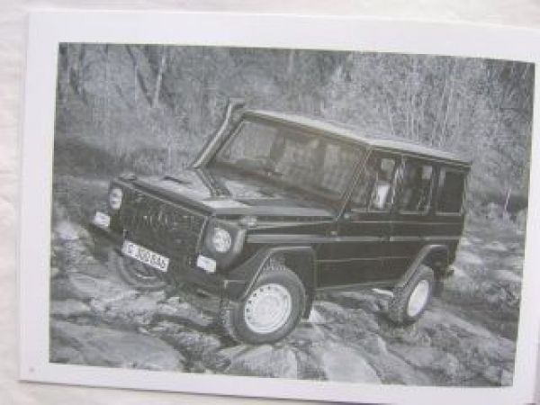 Mercedes Benz G-Klasse Professional BR461 +Pur Edition