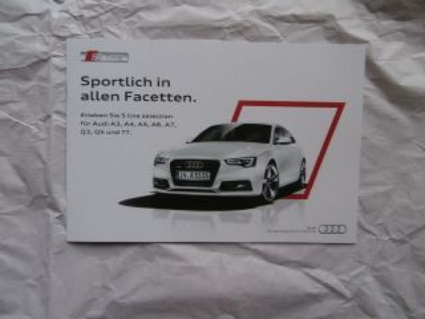 Audi A3,A4,A5,A6,A7,Q3,Q5,TT S line Oktober 2013 NEU