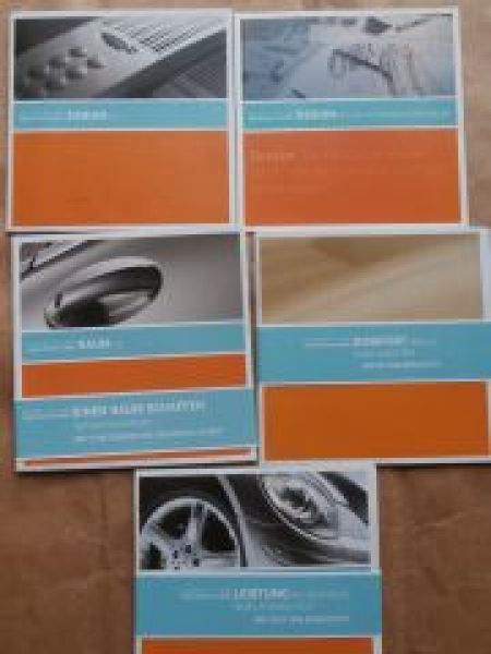 Mercedes Benz R-Klasse BR251 Design Leistung Raum Komfort