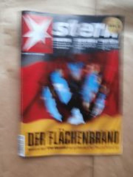 stern 41/2015 VW Der Flächenbrand