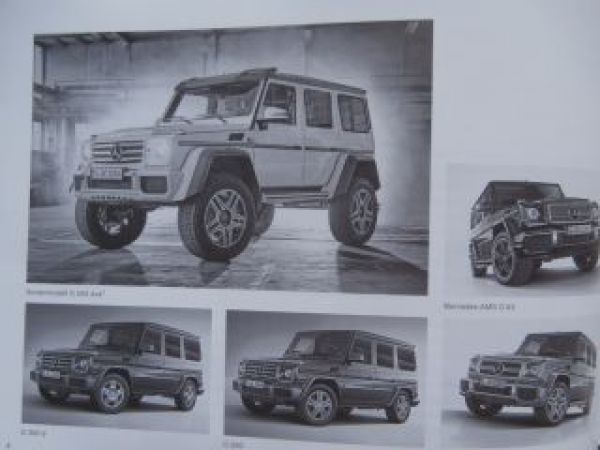 Mercedes Benz G-Klasse W463 305d 500 G63 G65 G500 4x4