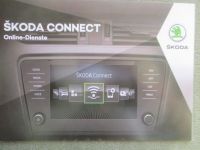 Skoda Connect Online-Dienste 2017