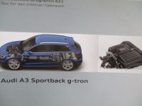 Audi A3 Sportback g-tron (8V) SSP 621 Oktober 2013