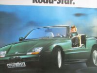 BMW Z1 Road Star Format 59x83cm