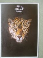 Jaguar Daimler 8-1993