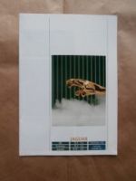 Jaguar XJ6 Sovereign Daimler XJ-S 3.6 V12 XJ-SC V12 Sovereign V1