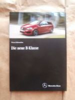 Mercedes Benz B-Klasse BR246 B250 B220CDI B200 Natural Gas Drive